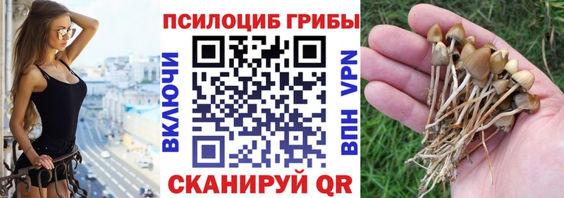 ссылка на мегу как зайти  цена   Верхний Уфалей  Галлюциногенные грибы мухоморы 